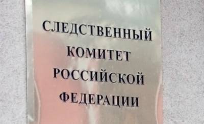 Убийством в Бирюлево занялось руководство СКР