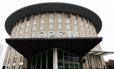 СБ ООН одобрил создание совместной миссии ОЗХО-ООН